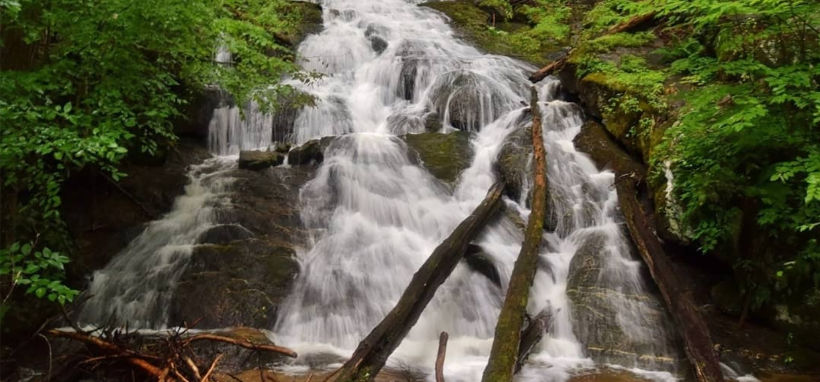 A pretty waterfall in the woods with green trees (Instagram@waterfallhero)