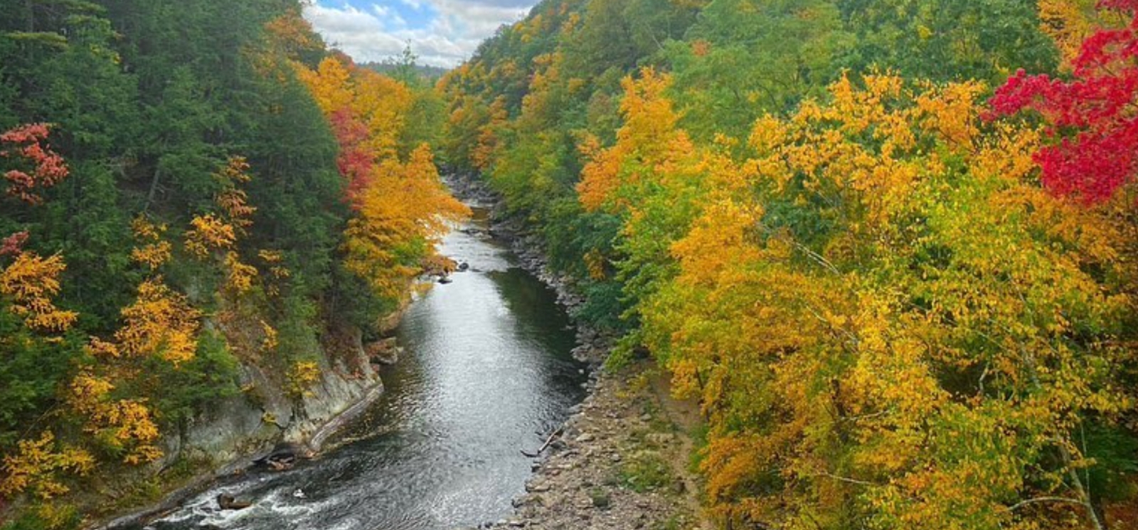 An aerial view of the river in the fall (Instagram@nemumford)