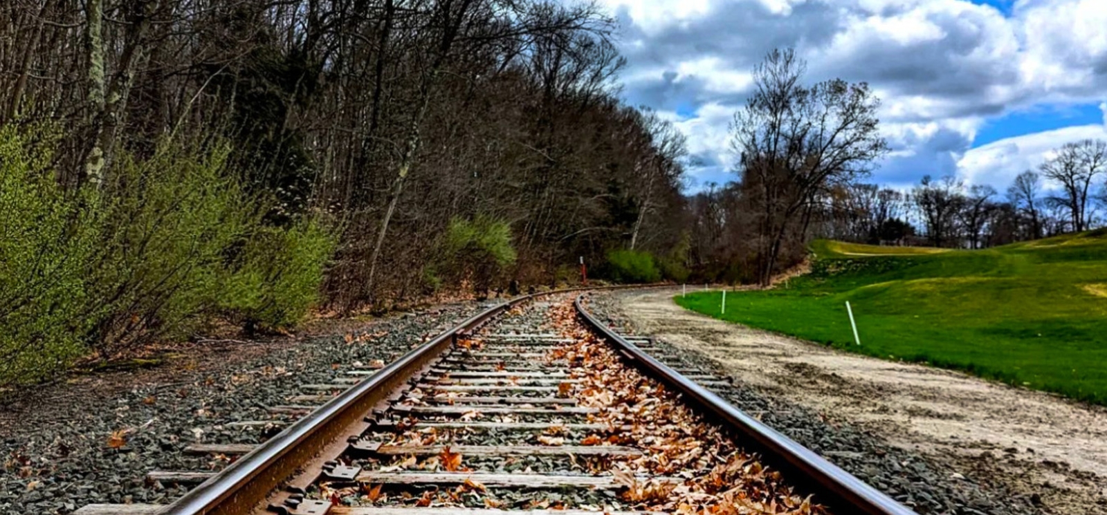 A scenic railroad track covered in colorful, fallen autumn leaves.