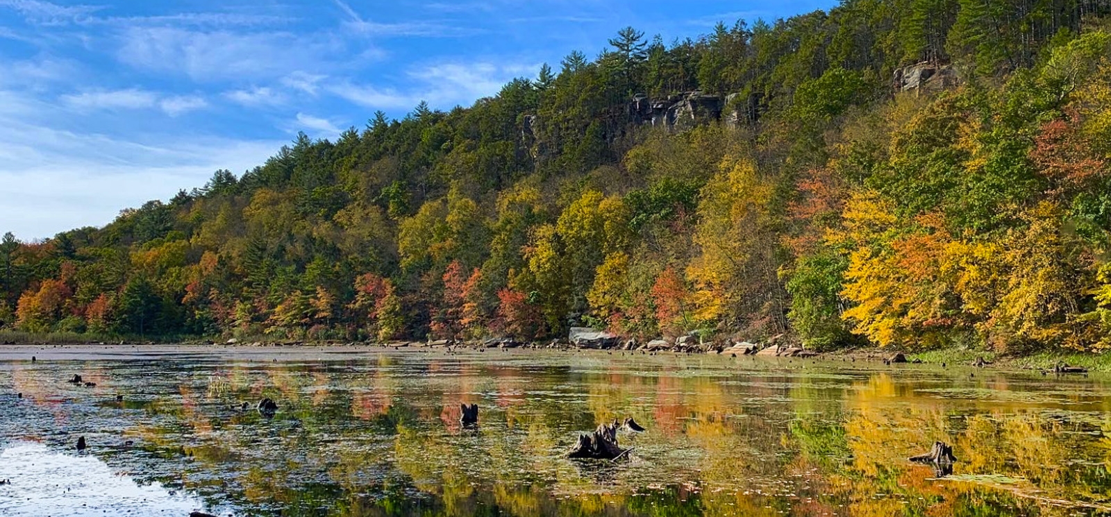 A still pond nestled beneath colorful fall foliage and a blue sky.