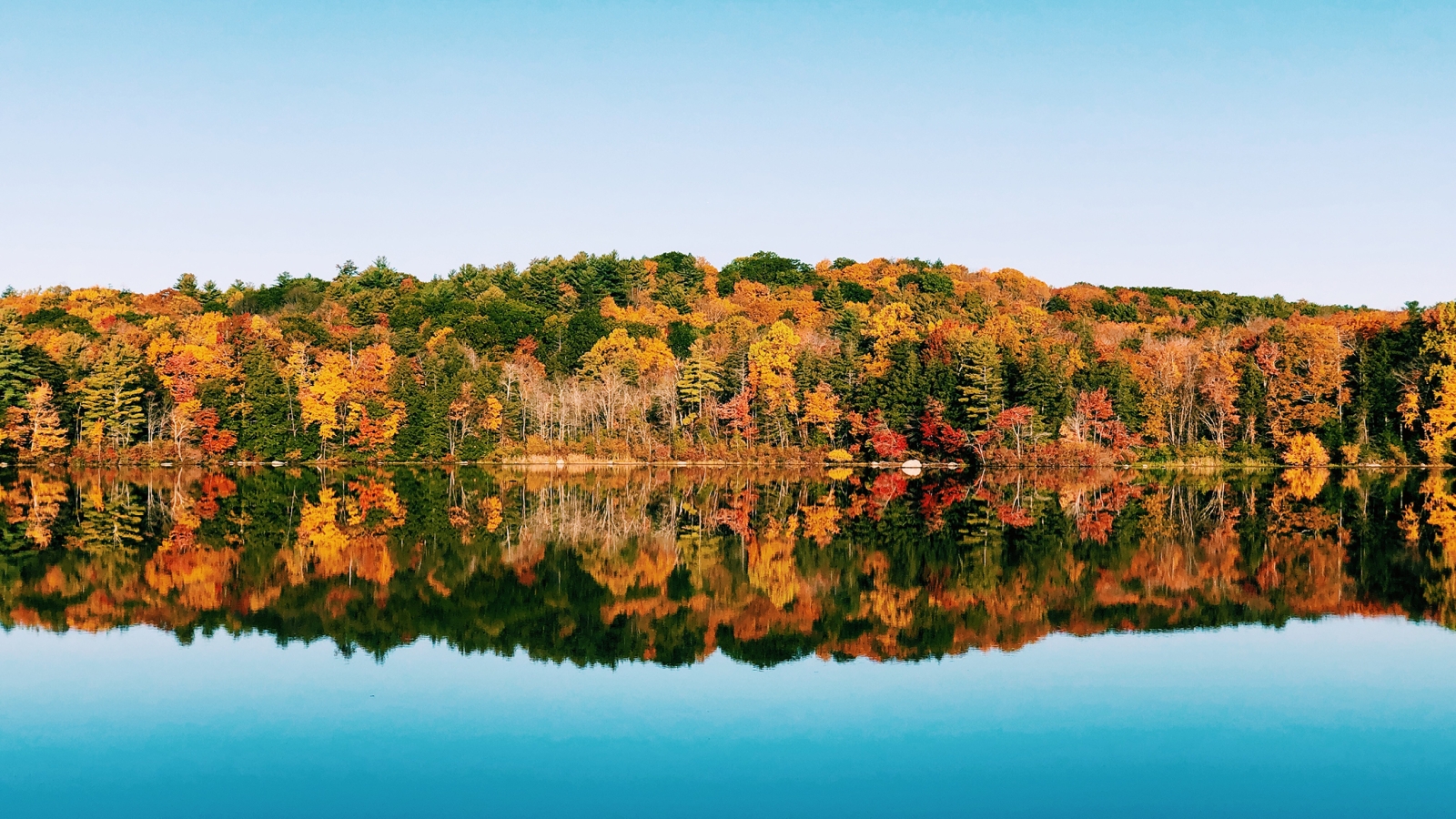 Fall view of foliage at Burr Pond State Park
