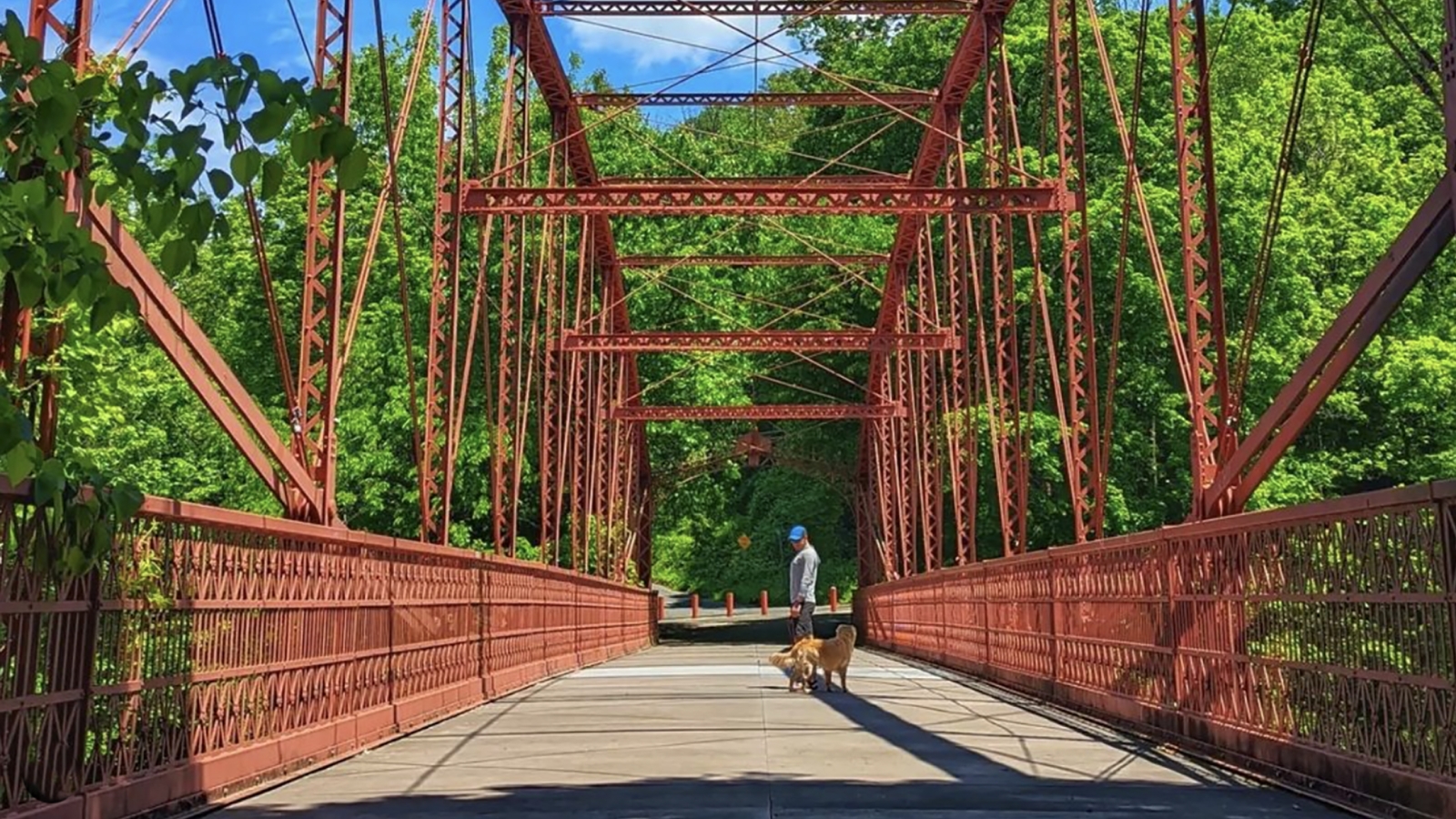 Hombre en el puente Lovers Leap con perro (Instagram@badw0lf)