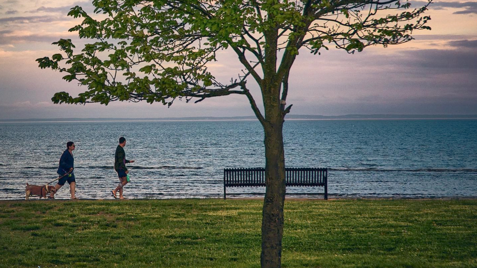 A couple with their dog taking a walk along the water (Instagram@visinart8)