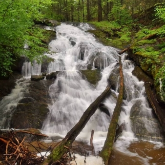 A pretty waterfall in the woods with green trees (Instagram@waterfallhero)