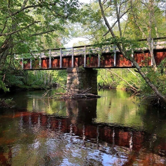 Water under a bridge in the woods