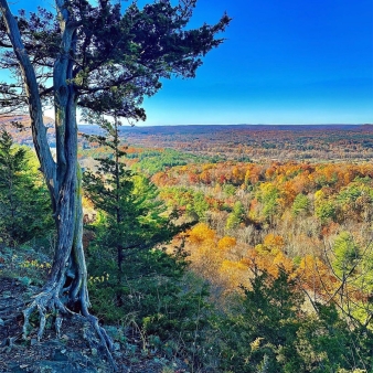 A beautiful view of fall trees and blue sky (Instagram@ilovemoo)