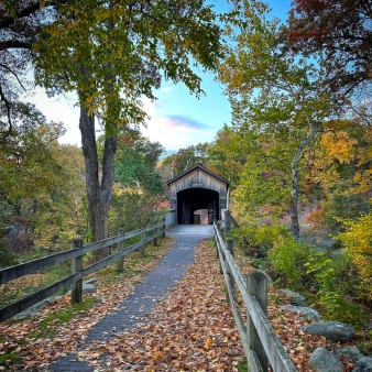 A covered bridge in fall (Instagram@manoverboard100_0)