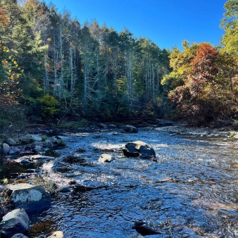 A river through the woods with bright blue sky (Instagram@abracadabrad)