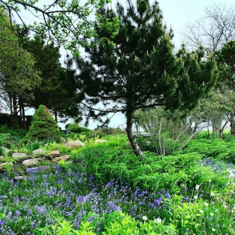 Flowers and plants at Seaside Park (Instagram@angelarose1717)