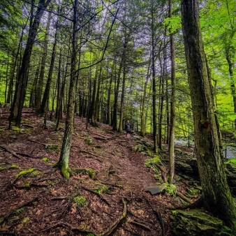 Man hiking through Southford Falls State Park (Instagram@briannashley_mp)