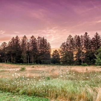 Purple skyline at Sunrise State Park (Instagram@shannysfarm)