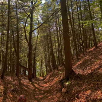 Trails through Sunrise State Park (Instagram@420_pictures_420)