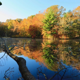 Water scene in front of Wharton Brook (Instagram@bjbjkh)