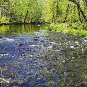 Running river at Nye Holman State Forest (Instagram@kasualkb)