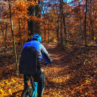 A man enjoying a bike ride on a wooded path in autumn.