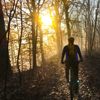 A man riding a bike through the foggy woods at dawn.