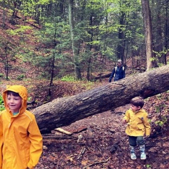 Two kids in yellow raincoats exploring a rainy forest trail with their family.