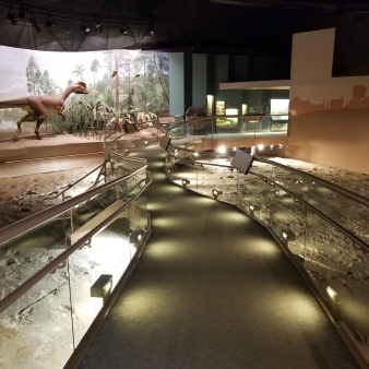 Dinosaur State Park trackway bridge